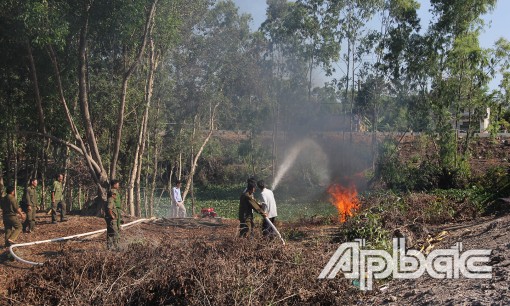 Phòng, chống cháy rừng trong mùa nắng nóng