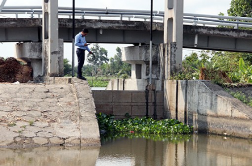Tích cực phòng, chống xâm nhập mặn