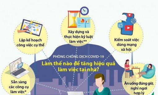 Phòng chống dịch COVID-19: Làm thế nào để tăng hiệu quả làm việc ở nhà