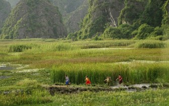 Điện ảnh Việt ''chao đảo'' vì COVID-19 trong những tháng đầu năm