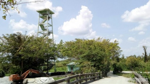 Khô hạn kéo dài, Cà Mau liên tiếp cháy rừng