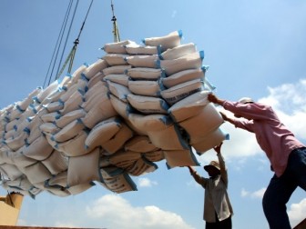 Xuất khẩu gạo song vẫn bảo đảm tuyệt đối an ninh lương thực quốc gia