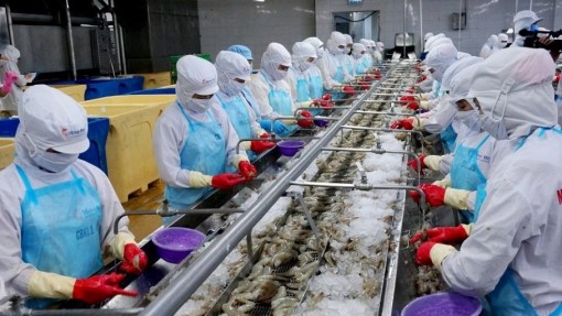 Cà Mau: Giải ngân vốn đầu tư công gần 800 tỷ đồng