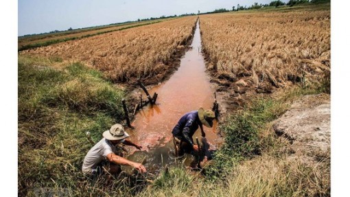 Hỗ trợ 8 tỉnh ĐBSCL 530 tỷ đồng phòng chống hạn, mặn