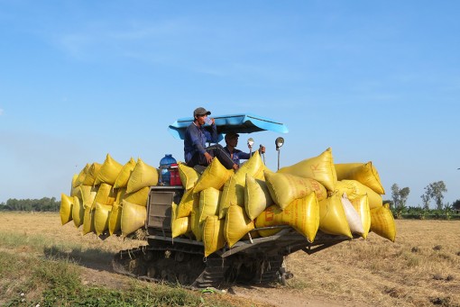 Gỡ khó đầu ra nông sản