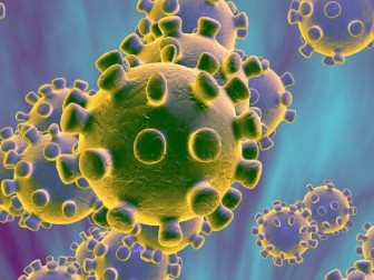 Virus SARS-CoV-2 có thể sống sót khi tiếp xúc lâu với nhiệt độ cao