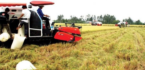 Phấn đấu tăng trưởng GDP bình quân giai đoạn 2021-2025 khoảng 7%