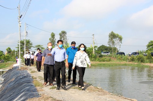 Bí thư Tỉnh ủy An Giang Võ Thị Ánh Xuân khảo sát tình hình sản xuất, tiêu thụ nông sản trên địa bàn huyện Chợ Mới