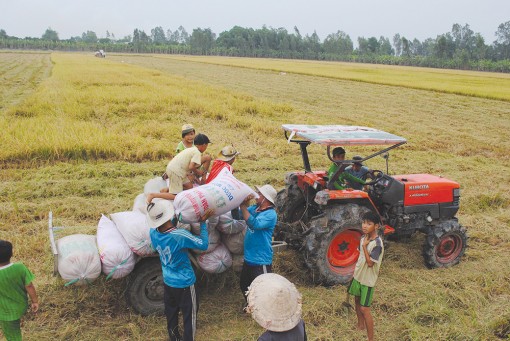 Phát huy vai trò “bệ đỡ” của ngành nông nghiệp