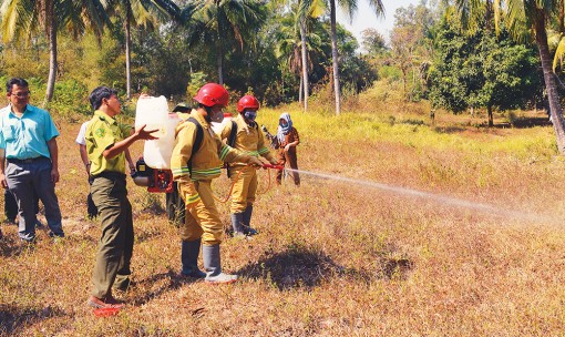 Bổ sung kinh phí hơn 2,1 tỷ đồng phòng cháy, chữa cháy rừng năm 2020