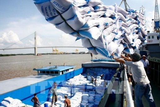 Bộ Công Thương 'hỏa tốc' xin ý kiến xuất khẩu gạo nếp