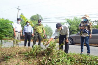 Kiểm tra công tác trồng cây lâm nghiệp phân tán năm 2019