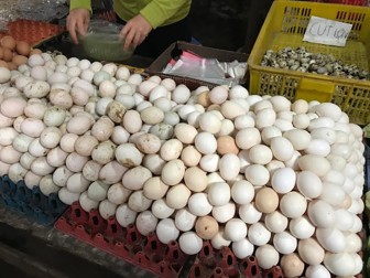 Trứng gà rẻ hơn rau, chủ trang trại lỗ chục tỷ đồng