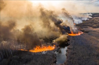 Cháy rừng khiến không khí ở Thủ đô Kiev, Ukraine ô nhiễm nhất thế giới