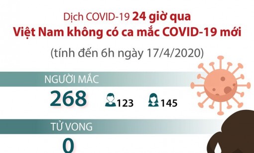 Tình hình các ca nhiễm COVID-19 tại Việt Nam