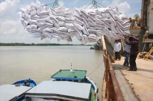 Thủ tướng Nguyễn Xuân Phúc chỉ đạo tháo gỡ khó khăn cho xuất khẩu gạo