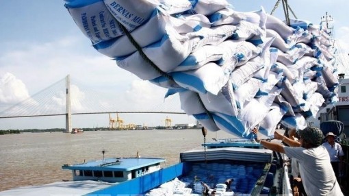 Còn nhiều doanh nghiệp An Giang chưa được xuất khẩu gạo