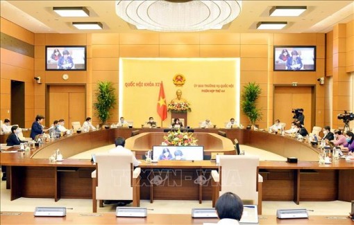 Phiên họp 44 của Ủy ban TVQH: Cần có đánh giá những biến động phức tạp về thị trường lao động trước diễn biến dịch COVID-19