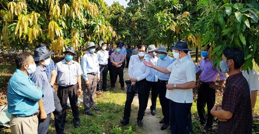 Tri Tôn cần tận dụng tốt cơ hội nông nghiệp