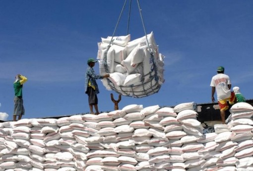 Hơn 56.000 tấn gạo trong hạn ngạch tháng 4 được xuất khẩu