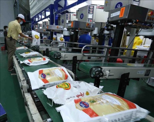Giải pháp điều hành xuất khẩu gạo trong thời gian tới