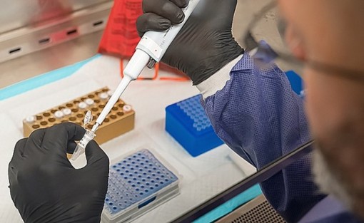 Nhật Bản phát hiện chất có thể sử dụng để bào chế thuốc chữa COVID-19
