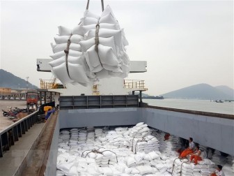 Tạm ứng hạn ngạch 100.000 tấn cho doanh nghiệp có gạo đưa vào cảng trước 24-3-2020 nhưng chưa đăng ký tờ khai
