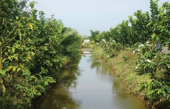 Phú Tân đảm bảo nguồn nước tưới phục vụ sản xuất hè thu