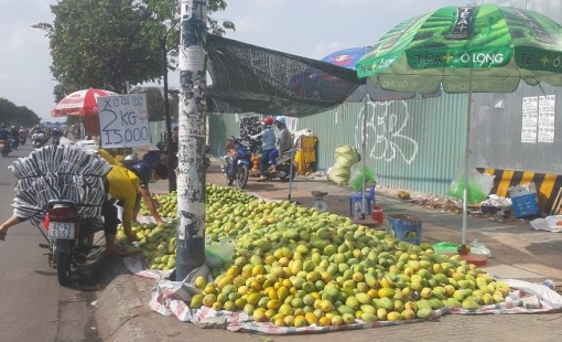 Liên kết doanh nghiệp, hợp tác xã trong tiêu thụ hàng hóa
