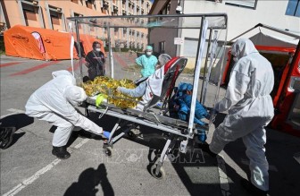 Pháp: Khoảng 22.000 ca tử vong do COVID-19, 5.053 ca đang phải chăm sóc đặc biệt