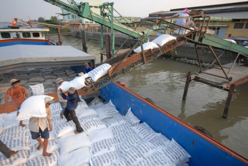 Hơn 192 ngàn tấn gạo đã được xuất khẩu trong tháng 4