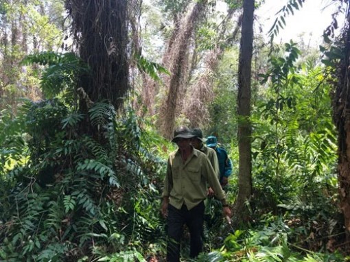 U Minh Hạ phập phồng trong "chảo lửa"