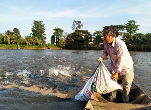 Giảm thiểu rủi ro của ngành hàng cá tra