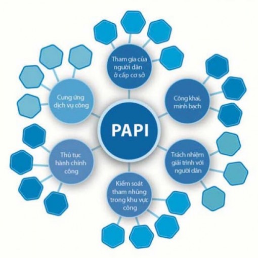 An Giang tăng 4 bậc trên bảng xếp hạng PAPI