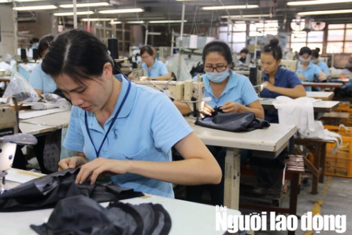 Lộ trình cụ thể tăng tuổi nghỉ hưu từ năm 2021