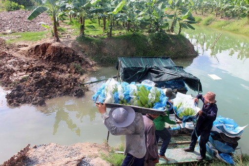 Tri Tôn phát huy lợi thế nông nghiệp