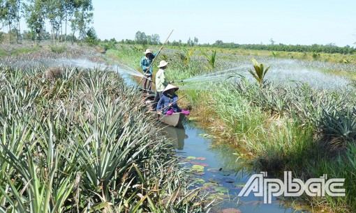 Đất không phụ người