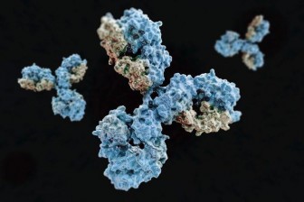 Phát hiện kháng thể ngăn chặn sự lây nhiễm của SARS-CoV-2 trong tế bào