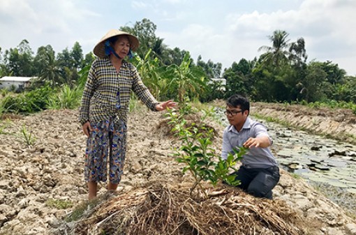 Thành quả từ chuyển đổi sản xuất