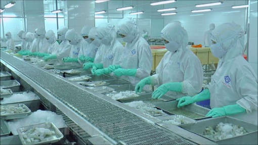Phê duyệt Đề án áp dụng chuẩn mực báo cáo tài chính
