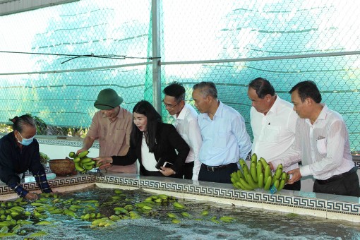 Bộ trưởng Bộ Nông nghiệp & Phát triển nông thôn Nguyễn Xuân Cường làm việc tại An Giang