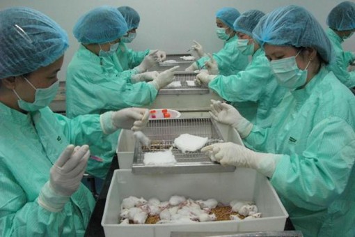 Việt Nam thành công bước đầu trong sản xuất vắc xin ngừa Covid-19