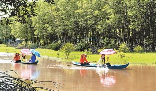 Du lịch Cà Mau, Bạc Liêu, Bến Tre đang dần hoạt động trở lại