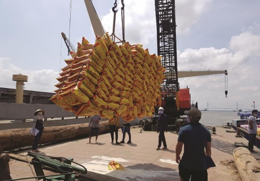 Khơi thông xuất khẩu gạo