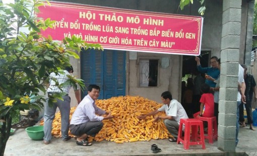 Linh động trong sản xuất nông nghiệp