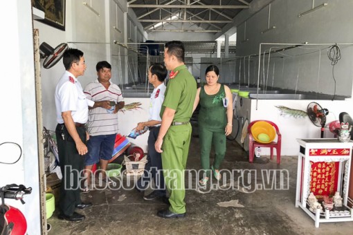 Sóc Trăng: Kiểm tra phương tiện và cơ sở ương dưỡng tôm giống