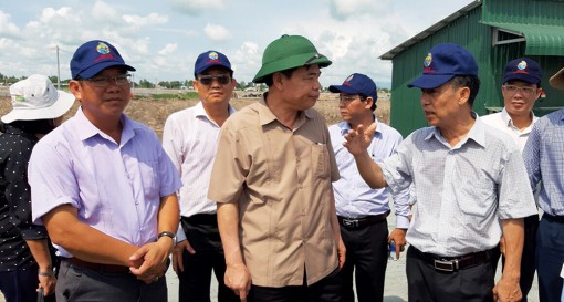 Ngành hàng cá tra còn nhiều việc phải làm