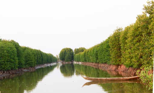 Điều chỉnh thời gian thực hiện dự án Vườn Quốc gia Mũi Cà Mau