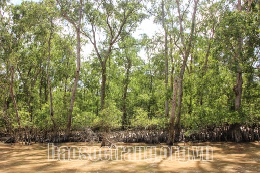 Nỗ lực bảo tồn đa dạng sinh học