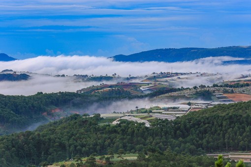 Săn mây ở Đà Lạt